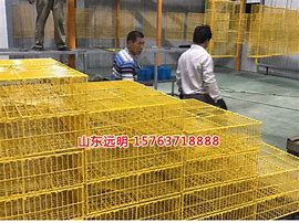 周转笼批发